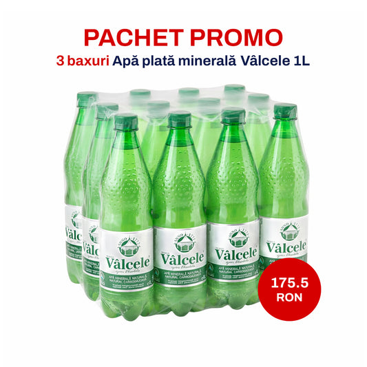 Apă minerală plată Vâlcele 1L – Pachet Promo – 3 baxuri
