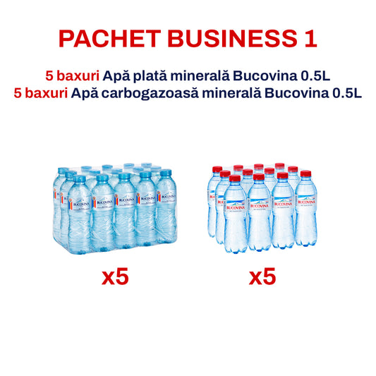 Pachet Business 1