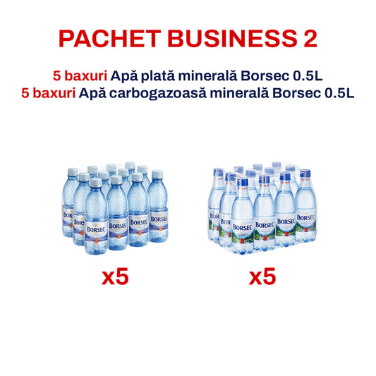 Pachet Business 2