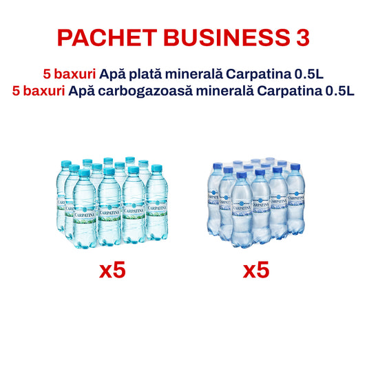 Pachet Business 3