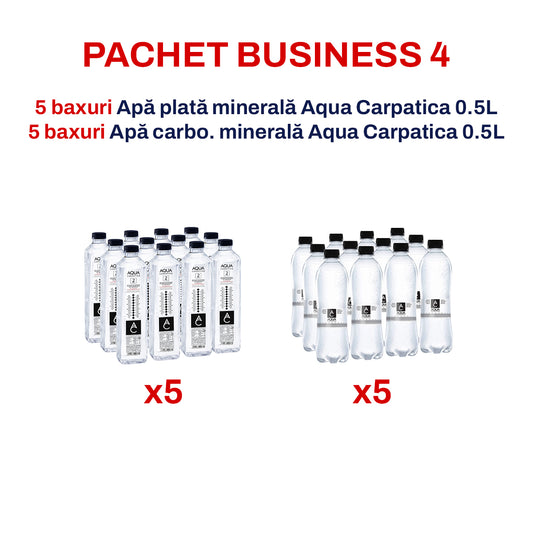 Pachet Business 4